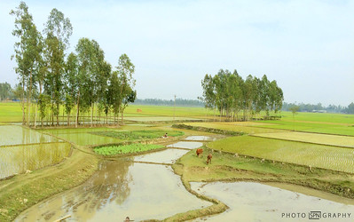 nature